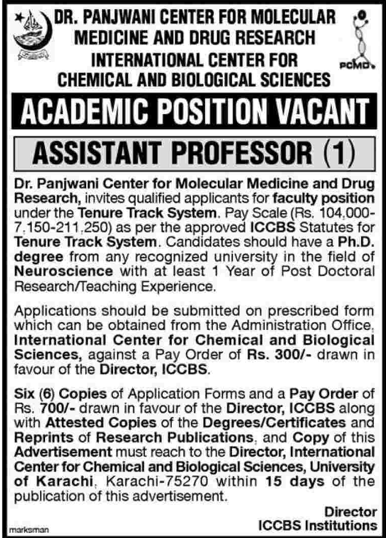 Assistant Professor Required at ICCBS Institute