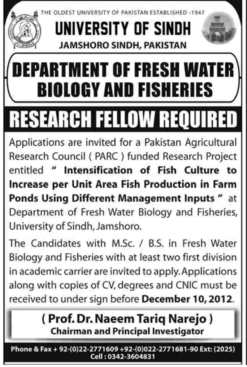 University of Sindh Jamshoro Requires Research Fellow