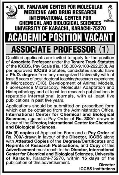 Associate Professor Job at ICCBS University of Karachi 2013