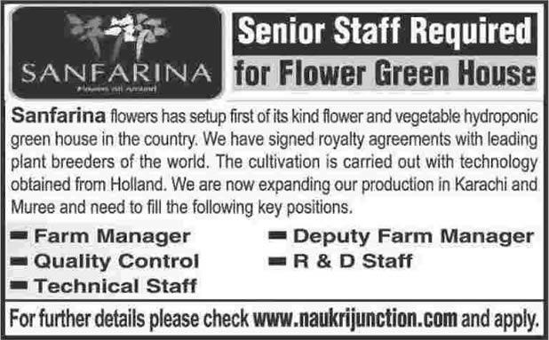 Farm Manager, Quality Control, R&D/ Technical Staff Jobs 2014 February at Sanfarina Flowers International