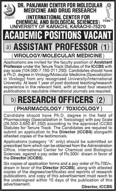 research assistant jobs in karachi