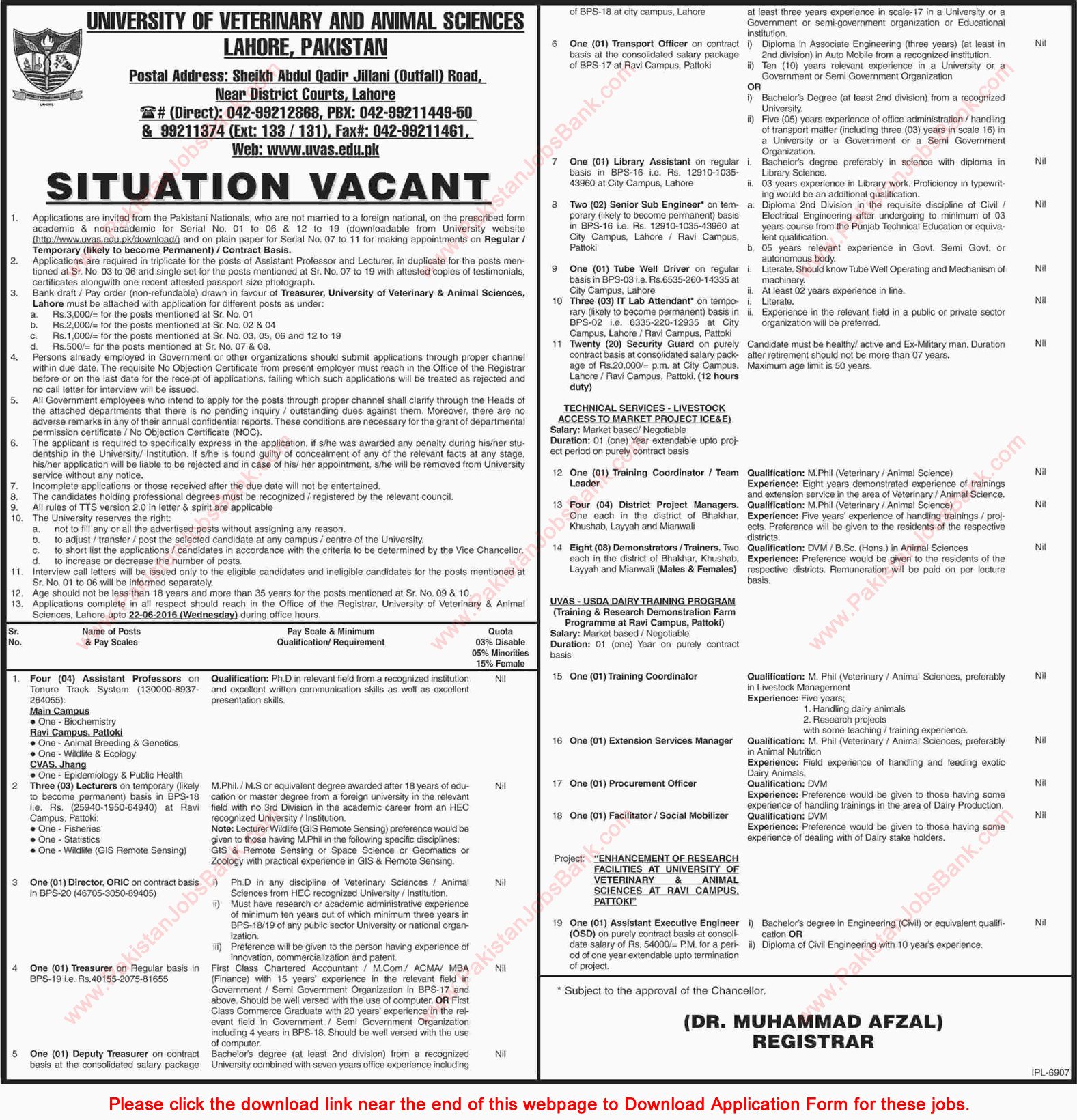 University of Veterinary and Animal Sciences Lahore Jobs June 2016 UVAS Application Form Download Latest
