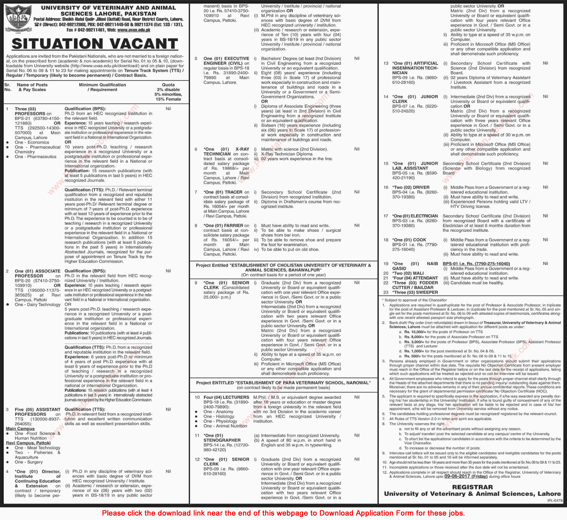 University of Veterinary and Animal Sciences Lahore Jobs May 2017 Application Form Teaching Faculty & Others UVAS Latest