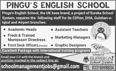 Pingu's English Schools Karachi Jobs 2018 March Teachers, FDO, Graphic Designers & Others Latest