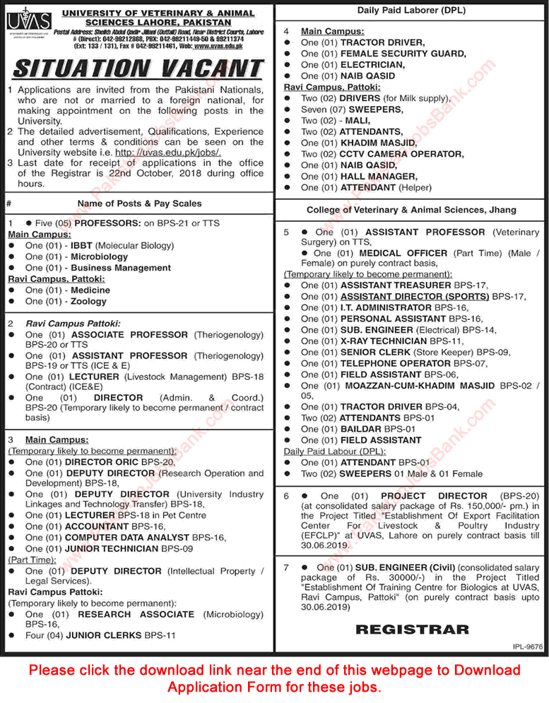 UVAS Jobs October 2018 Application Form University of Veterinary and Animal Sciences Latest