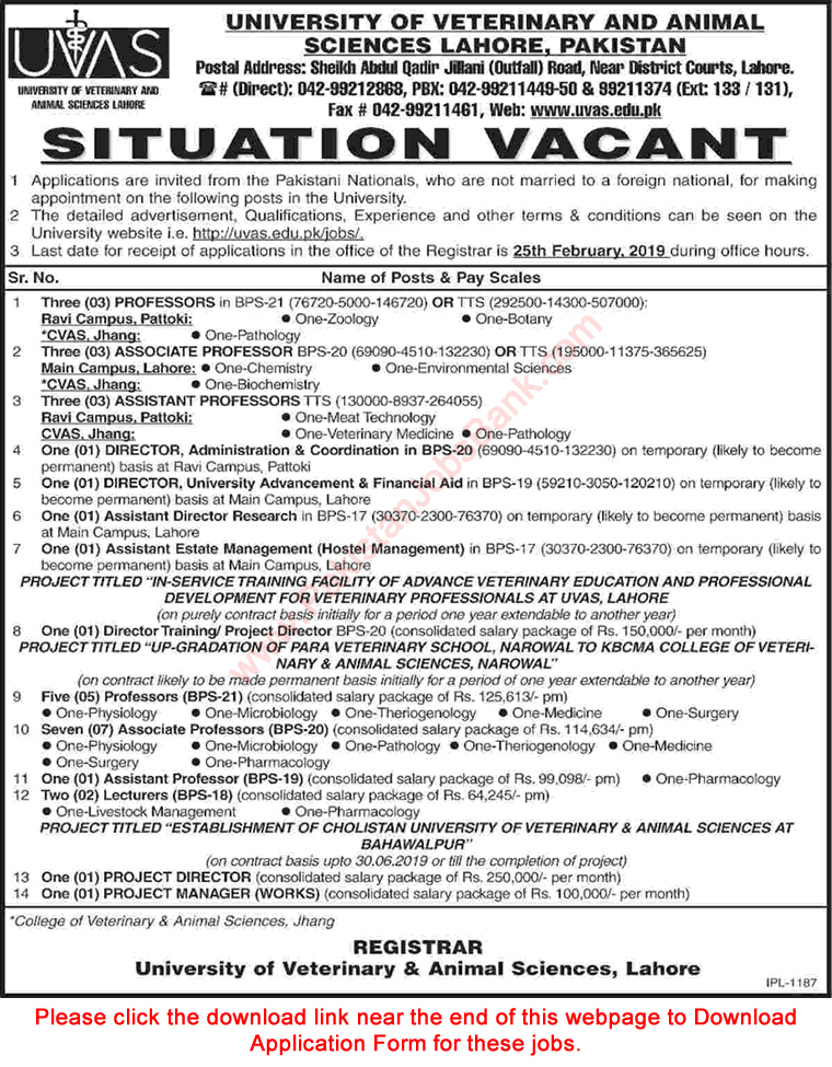 UVAS Jobs 2019 February Application Form University of Veterinary and Animal Sciences Latest