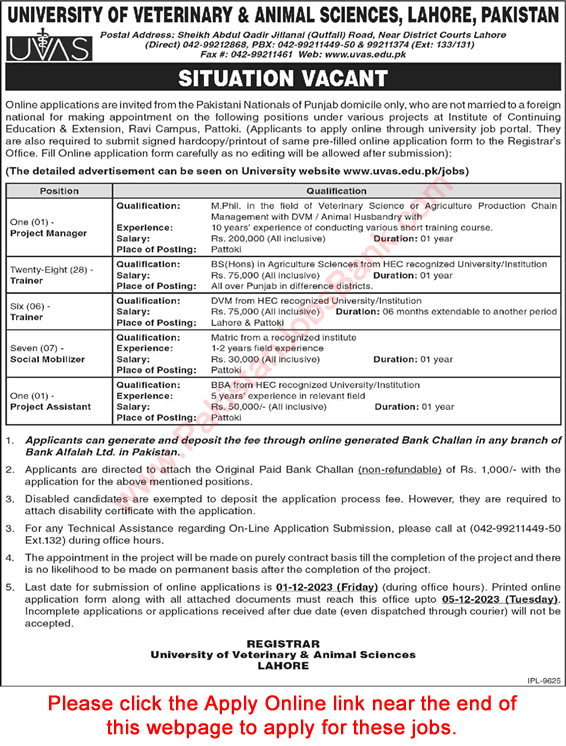 University of Veterinary and Animal Sciences Jobs November 2023 UVAS Apply Online Trainers & Others Latest