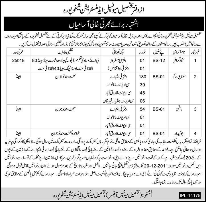 TMA Sheikhupura Required Staff