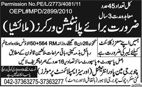 Plantation Workers Required for Malaysia