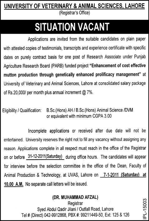 University of Veterinary and Animal Sciences Lahore Required Research Associate