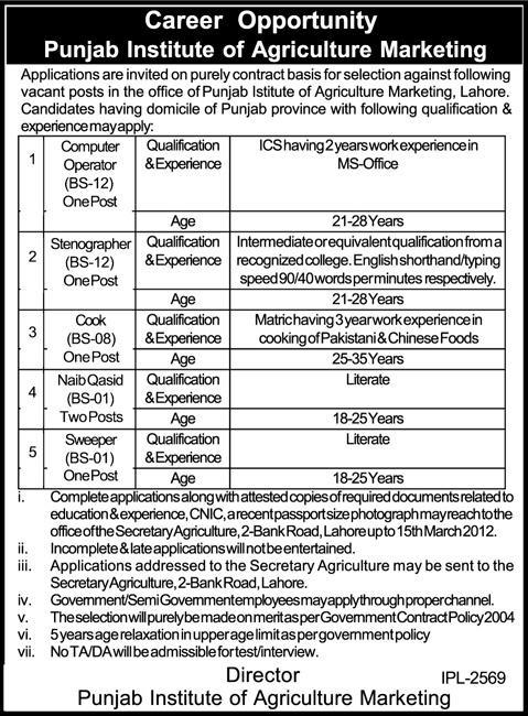 Punjab Institute of Agriculture Marketing Jobs Opportunity