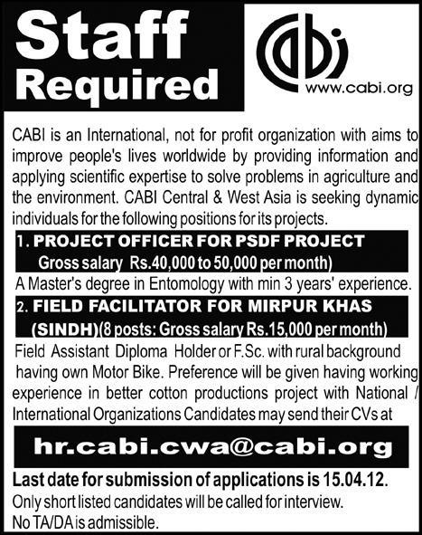 CABI (NGO) Jobs