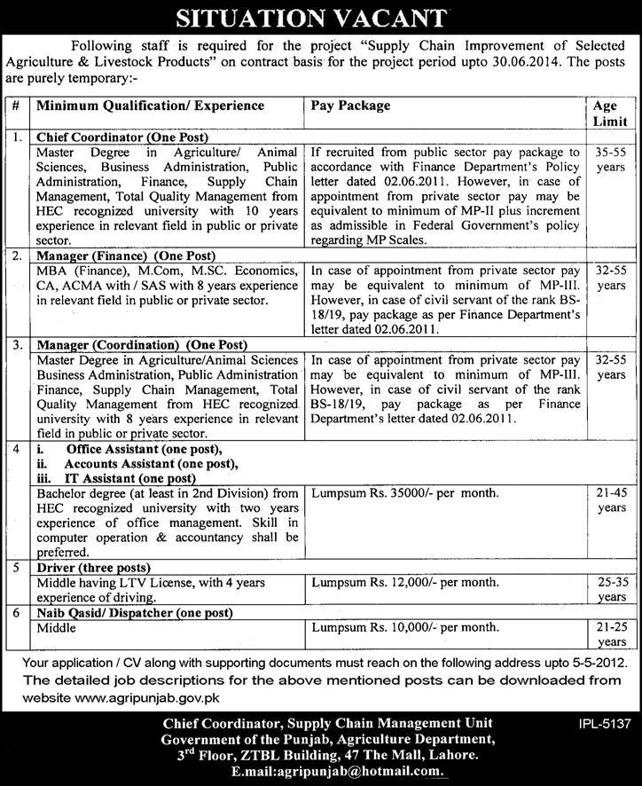 Supply Chain Management Unit, Governmnent of the Punjab Jobs