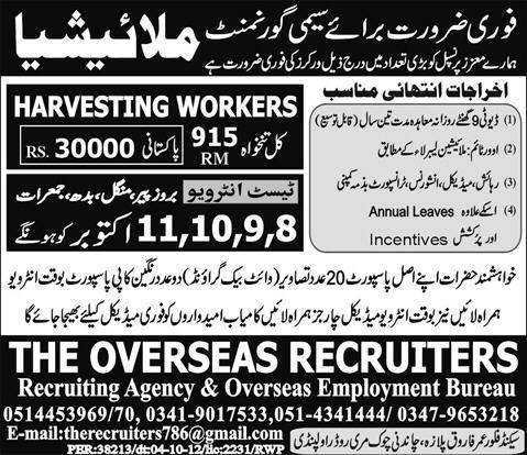 Harvesting Workers Required for Malaysia