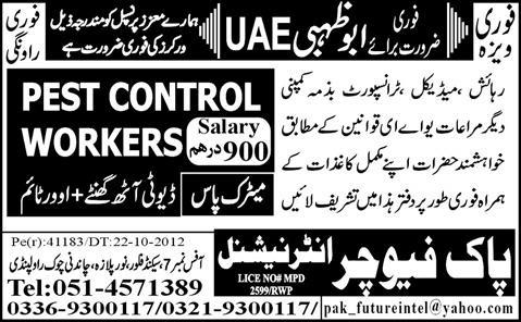 Jobs in Abu Dhabi (UAE)