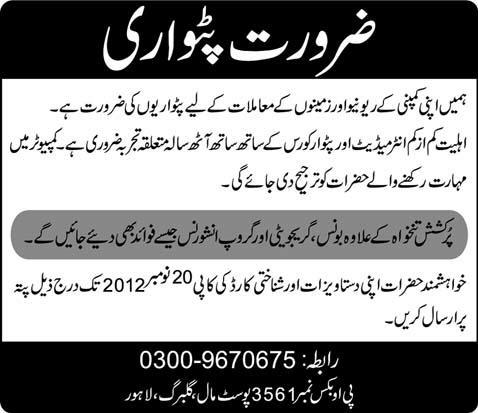 Patwari Jobs in a Company