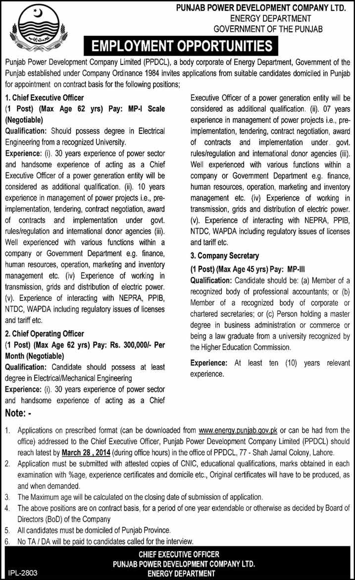 Punjab Power Development Company Ltd Jobs 2014 March for CEO, COO & Company Secretary