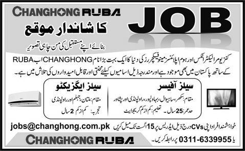 Sales Officer / Executive Jobs in Pakistan 2014 August for Changhong Ruba