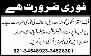 Bio Lab Incharge, Electrician, Painter, Aya & Sweeper Jobs in Karachi 2014 August in School