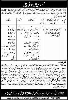 Crewman Jobs in Rescue Safety & Training Center Jalozai KPK 2014 October