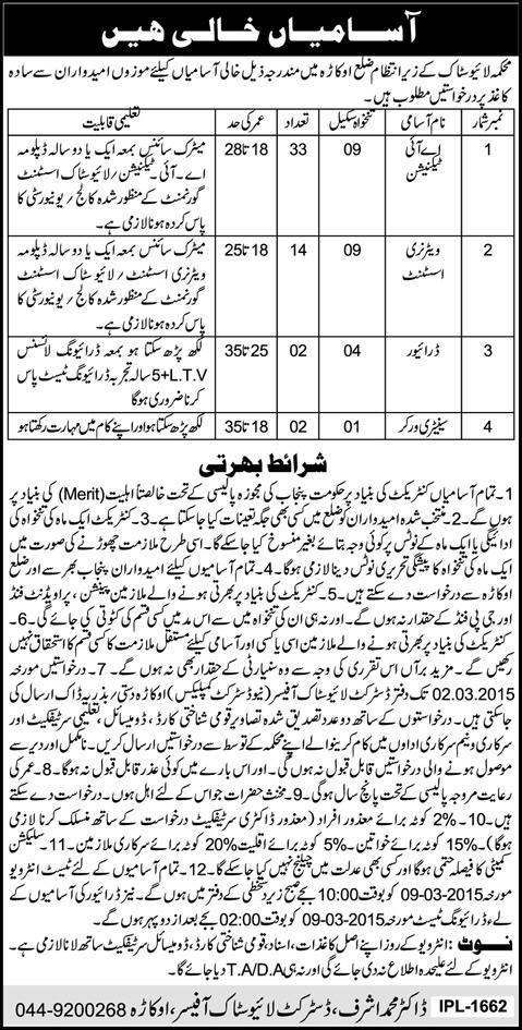 Punjab Livestock Department Okara Jobs 2015 February AI Technician, Veterinary Assistant, Driver & Sweeper