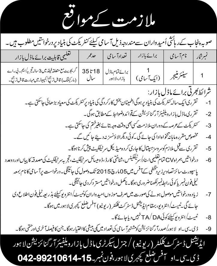 Senior Manager Jobs in Model Bazar Welfare Organization Lahore 2015 February Latest