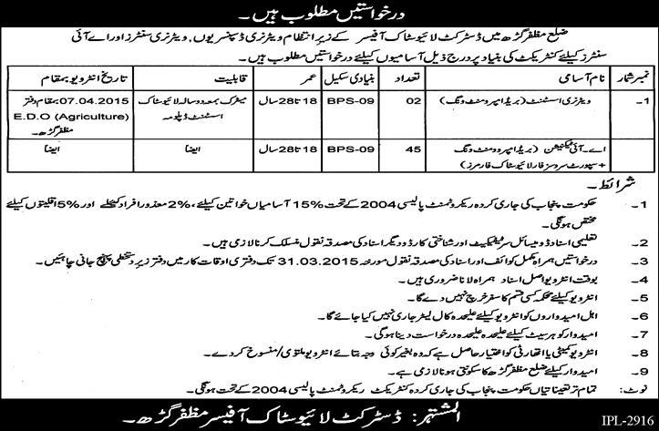 District Livestock Office Muzaffargarh Jobs 2015 March Veterinary Assistant & AI Technicians