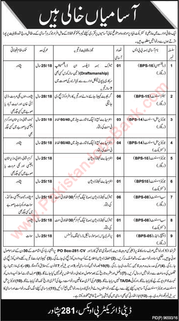 PO Box 281 Peshawar Jobs 2016 KPK Assistants, Draftsman & Dispatch Riders Latest