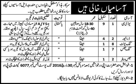 PO Box 6077 GPO Lahore Jobs 2016 March Cooks, Waiters, Clerks & Drivers Latest