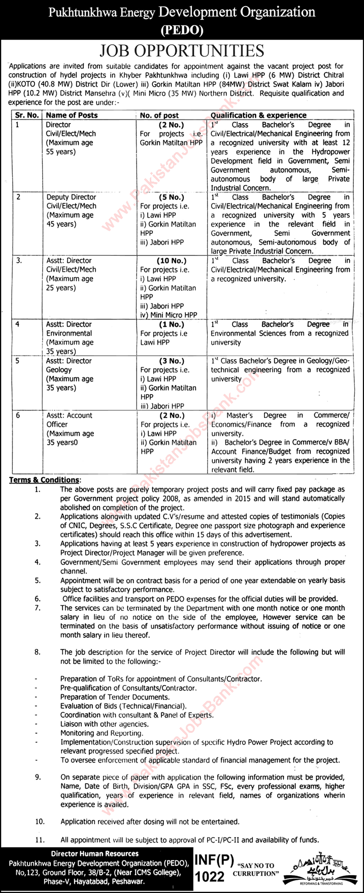 Pakhtunkhwa Energy Development Organization Jobs 2016 March PEDO Directors & Accounts Officers Latest