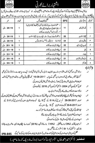 Livestock Department Hasilpur Jobs 2017 July Livestock Attendant, Baildar & Others Latest