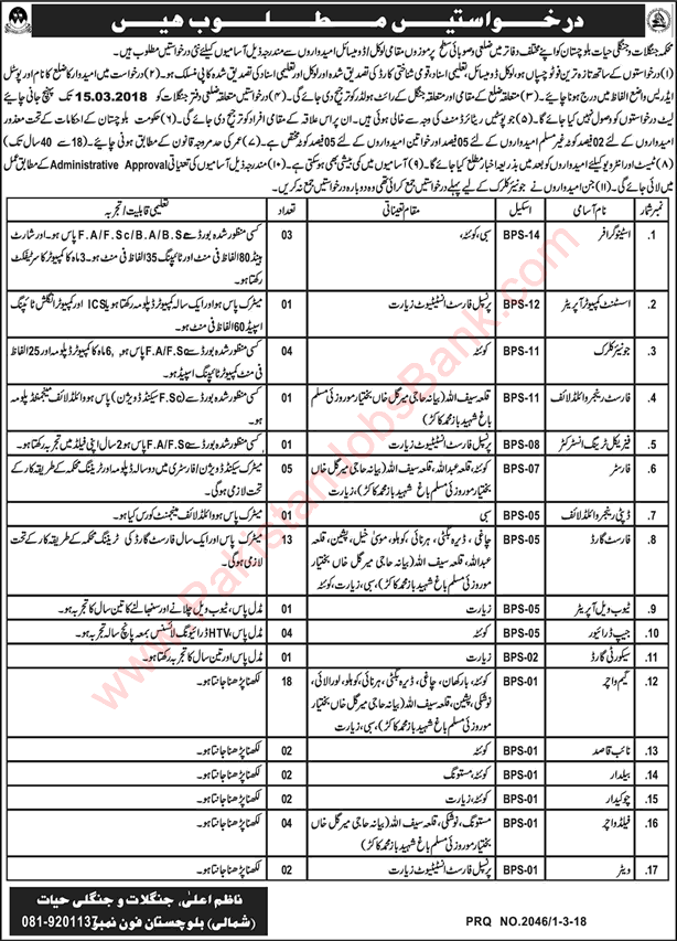 Forest and Wildlife Department Balochistan Jobs 2018 March Game Watchers, Forest Guards & Others Latest