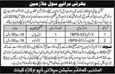 Station Supply Depot Okara Jobs 2018 May Fireman & Sanitary Workers Latest