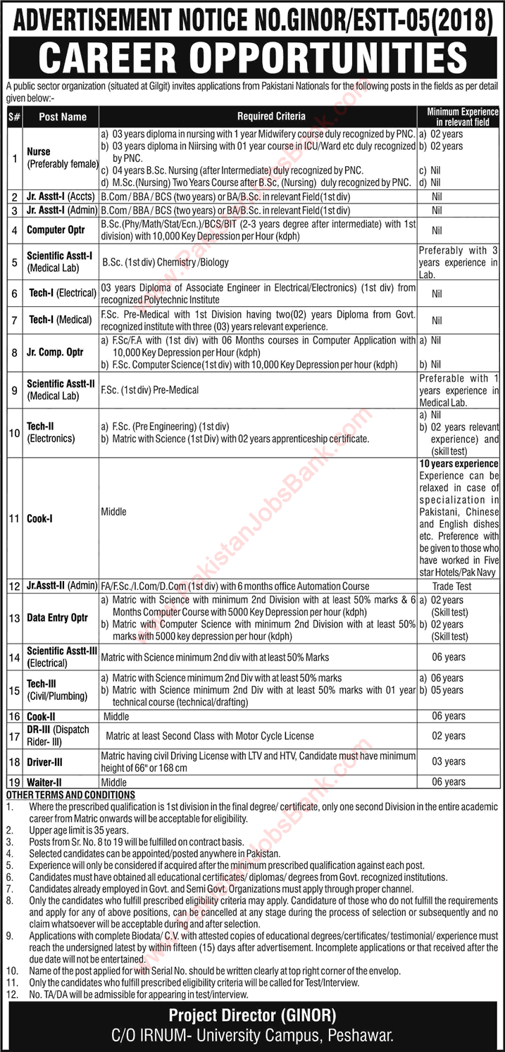 PAEC GINOR Hospital Gilgit Jobs October 2018 Public Sector Organization C/O IRNUM Latest