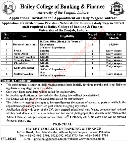 Hailey College of Banking and Finance Lahore Jobs 2018 October Latest