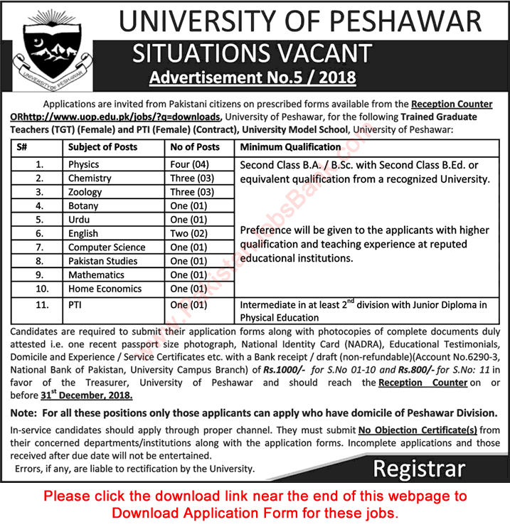 University Model School Peshawar Jobs December 2018 Female Teachers & PTI Application Form Latest
