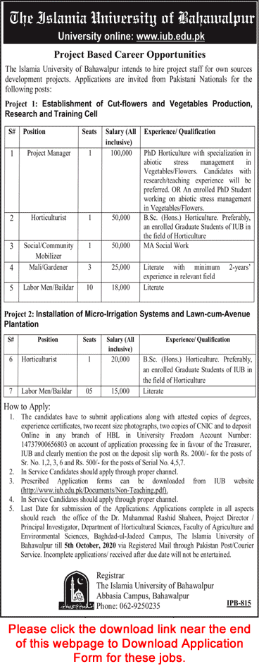 Islamia University of Bahawalpur Jobs September 2020 IUB Application Form Labor Man / Baildar & Others Latest