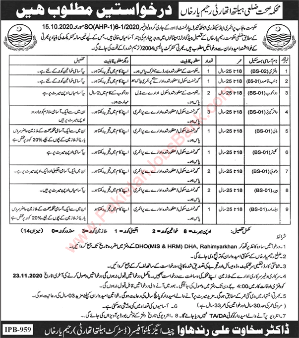 District Health Authority Rahim Yar Khan Jobs November 2020 Health Department Punjab Latest