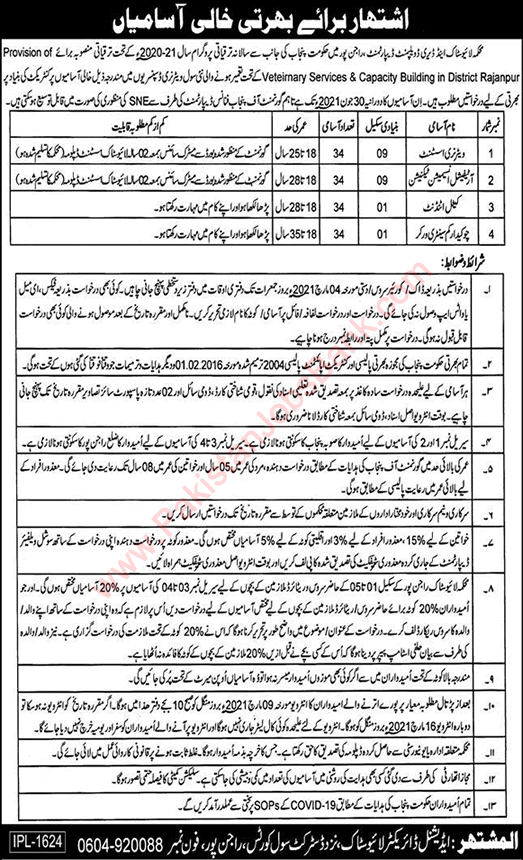 Livestock and Dairy Development Department Rajanpur Jobs 2021 February Veterinary Assistants & Others Latest