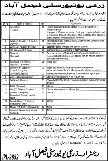 Agriculture University Faisalabad Jobs March 2021 Chowkidar, Naib Qasid & Others Latest