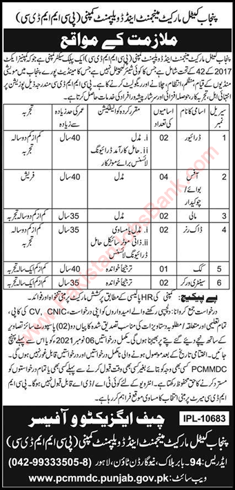 Punjab Cattle Market Management and Development Company Lahore Jobs October 2021 PCMMDC Latest