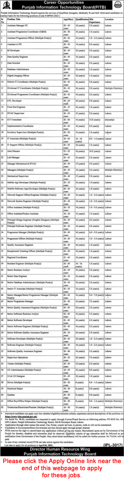 PITB Jobs 2022 March Apply Online Punjab Information Technology Board Latest