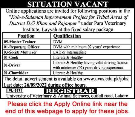 University of Veterinary and Animal Sciences Lahore Jobs September 2022 Apply Online Latest