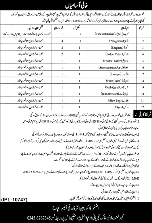 Livestock Department Rajanpur Jobs October 2022 Naib Qasid, Sweeper & Others Latest