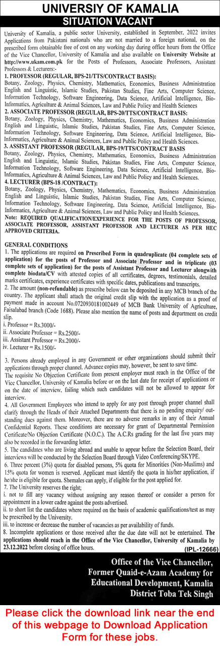 Teaching Faculty Jobs in University of Kamalia 2022 December Application Form Latest