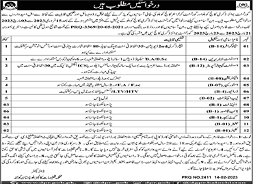 Government Boys Degree College Kohlu Jobs 2023 February Naib Qasid, Lab Attendant & Others Latest