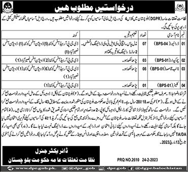 Director General Public Relations Balochistan Jobs 2023 February Naib Qasid, Chowkidar & Others Latest