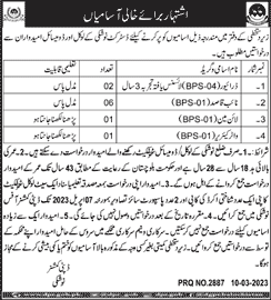 Deputy Commissioner Nushki Jobs 2023 March Naib Qasid & Others Latest