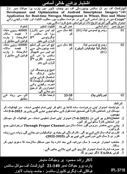 University of Punjab Lahore Jobs May 2023 Research Associates & Labour Latest