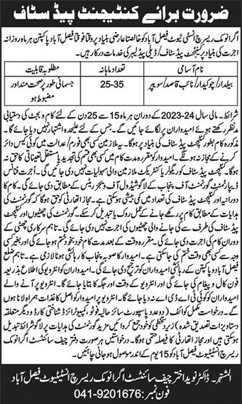 Baildar / Chowkidar / Naib Qasid / Sweeper Jobs in Faisalabad 2023 September at Agronomic Research Institute Latest